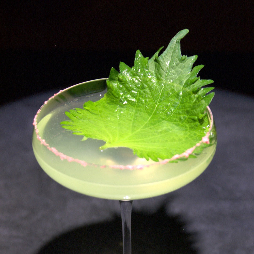 ゆずギムレット